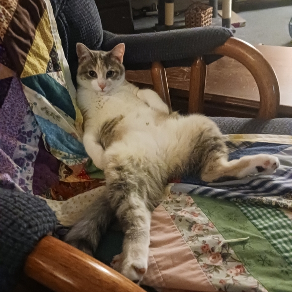 I'm selling a little of this and a little of that. - Picture 6 of 6